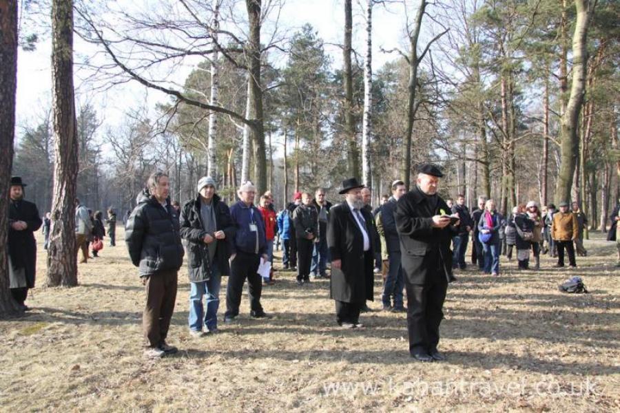 Auschwitz, Tours, Birkenau, Concetration Camps, Trees, March 2011 (00 Mar 2011) [Groups]