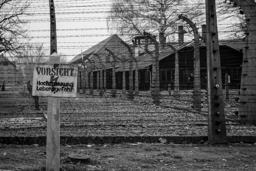 www.brianduffy.co.uk Auschwitz, Concertation Camp, Tours, Electrified Fence, Watchtower (25 Mar 2020) [Auschwitz]