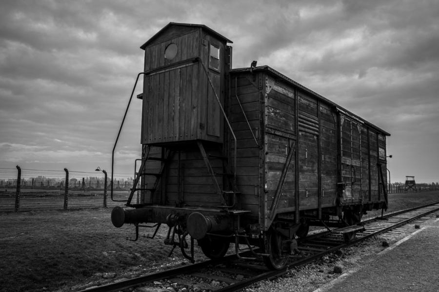 www.brianduffy.co.uk:  Auschwitz; Birkenau; Holocaust; Concentration camp; WW2 (25 Mar 2020) [Birkenau]