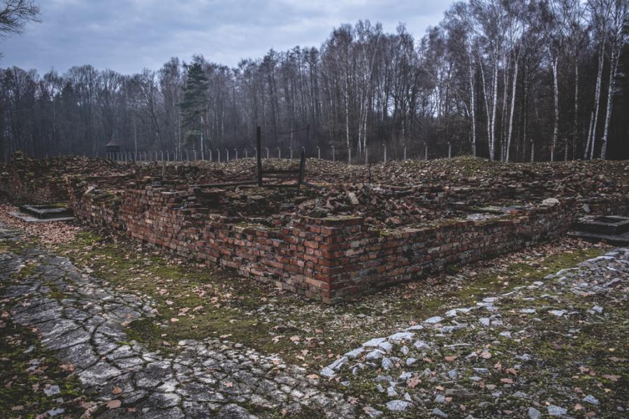 www.brianduffy.co.uk:  Auschwitz; Birkenau; Holocaust; Destroyed Gas Chamber; WW2 (25 Mar 2020) [Birkenau]