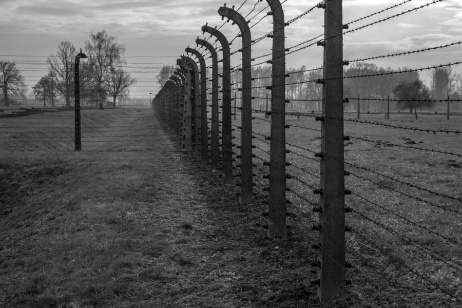 www.brianduffy.co.uk:  Birkenau; Holocaust; Death Camp, World War 2 (25 Mar 2020) [Birkenau]