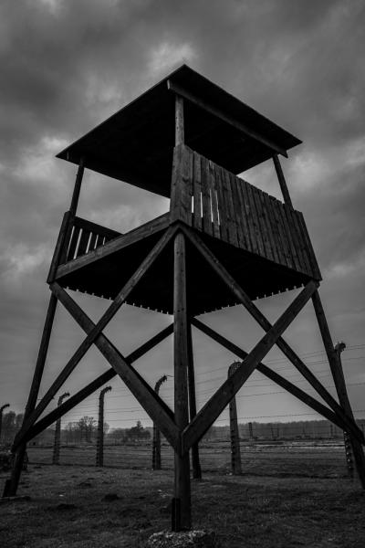 www.brianduffy.co.uk:  Birkenau; Holocaust; Death Camp, Watch Tower (25 Mar 2020) [Birkenau]