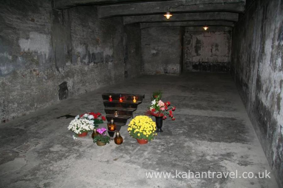 Auschwitz Museum, Concetration Camp, Tours, Crematorium () [Auschwitz]